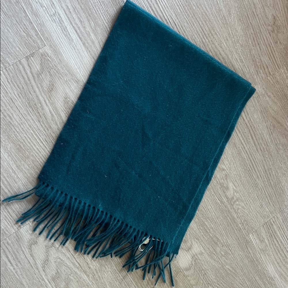 Elegant Teal Scarf with Fringe